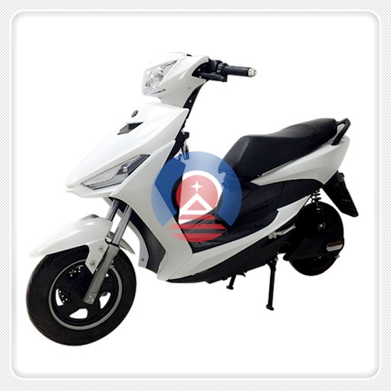 scooter G8 151 【在庫なし】 - www.woodpreneurlife.com